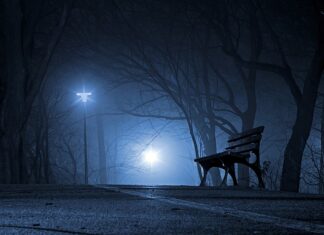 Jakie są polskie firmy? Jakie są polskie firmy?