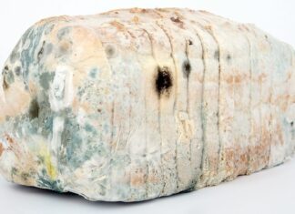 Jak zdezynfekować obuwie? Jak zdezynfekować obuwie?