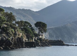 Ile kosztuje czarna pasta do butów? Ile kosztuje czarna pasta do butów?