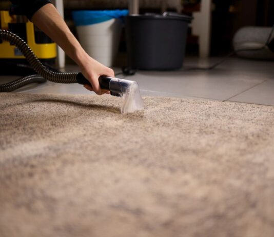 Bielsko-Biała: koszt czyszczenia dywanów przez profesjonalną firmę kontra samodzielnie z wypożyczonym sprzętem